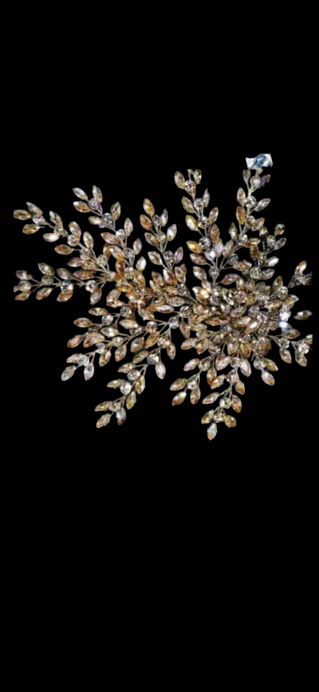 WIDE LEAVES